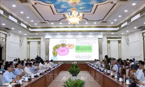 TP Hồ Chí Minh nghiên cứu phát triển 5 huyện lên quận hoặc thành phố