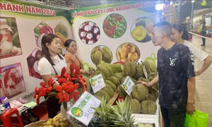 Khai mạc Lễ hội trái cây Long Khánh