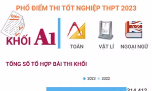 Phổ điểm thi tốt nghiệp THPT 2023 khối A1 (Toán, Vật lí, Ngoại ngữ)