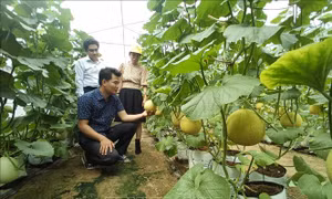 Nông dân làm chủ kiến thức sẽ tự quyết định được việc làm của mình