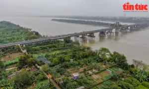Kế hoạch thẩm định hồ sơ Quy hoạch 4 vùng