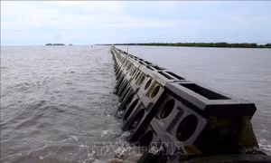 Tránh phát sinh thủ tục hành chính khi xây dựng Nghị định về hoạt động lấn biển