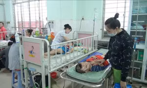 Số ca sốt xuất huyết tại Tiền Giang tăng nhanh