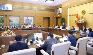  Nghiên cứu bổ sung những vấn đề cấp bách, tránh làm lỡ cơ hội phát triển