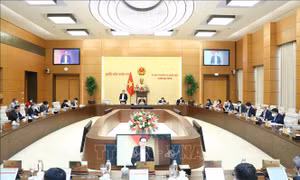 UBTV Quốc hội xem xét cho phép thực hiện một số cơ chế, chính sách trong lĩnh vực y tế 