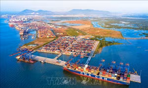 Việt Nam được đánh giá cao về vai trò đầu mối vận tải biển