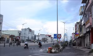 Cần Thơ khẩn trương tái khởi động dự án đường dân sinh cầu Trần Hoàng Na
