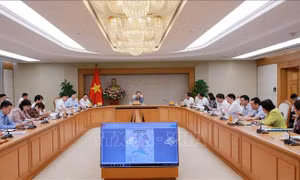Chủ động vận dụng cơ chế mới, tháo gỡ vướng mắc, tránh lãng phí nguồn lực đất đai