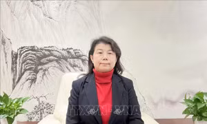 An ninh năng lượng: Lời giải chiến lược và hệ thống từ Trung Quốc