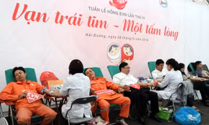 Tuần lễ hồng EVN 'Vạn trái tim, một tấm lòng'