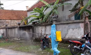 Hà Nam ghi nhận thêm 2 ca mắc COVID-19 liên quan đến ổ dịch tại xã Đạo Lý, huyện Lý Nhân