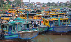 Nam Định không có tàu cá hay thuyền viên vi phạm khai thác vùng biển nước ngoài