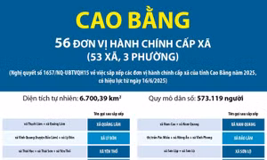 Thông tin chi tiết sắp xếp các đơn vị hành chính cấp xã của tỉnh Cao Bằng
