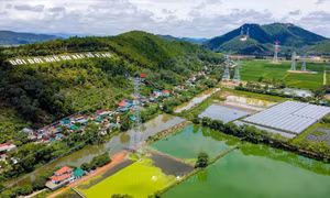 Bốn mạch đường dây 500kV Bắc - Nam cung cấp gần 20% điện cho miền Bắc trong cao điểm nắng nóng