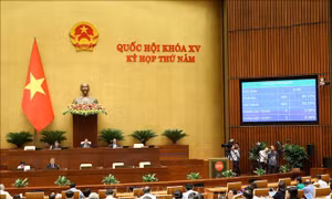 Thông qua Luật Bảo vệ quyền lợi người tiêu dùng (sửa đổi)