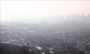 99% dân số toàn cầu phải hít thở không khí ô nhiễm vượt giới hạn an toàn của WHO