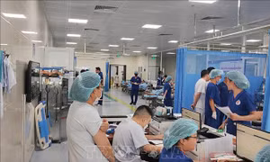 Tai nạn trên cao tốc Diễn Châu - Bãi Vọt khiến trên 20 người nhập viện