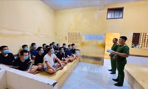 Bảo đảm quyền bầu cử của người bị tạm giữ, tạm giam
