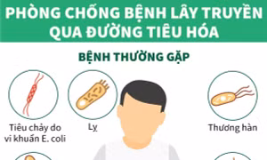 Phòng chống bệnh lây truyền qua đường tiêu hóa