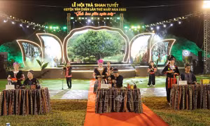Lễ hội Trà Shan tuyết Văn Chấn - Tinh hoa giữa ngàn mây