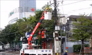 Mưa lớn, lốc xoáy khiến nhiều nhà dân bị tốc mái, đổ sập tại Hà Tĩnh