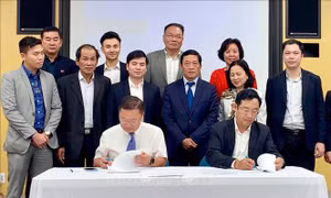 Hỗ trợ 200.000 USD cho startup Việt Nam