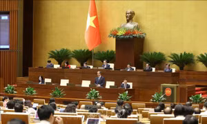 Phiên chất vấn diễn ra sôi nổi, đưa ra được giải pháp