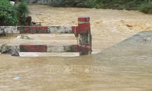 Xem xét tích nước hạn chế trước mưa lớn ở Bắc Bộ, Bắc Trung Bộ