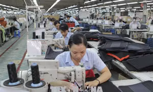 Châu Phi - thị trường đầy tiềm năng đối với Việt Nam