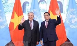 NHÌN LẠI THẾ GIỚI 2022: Việt Nam khẳng định vai trò đối tác đáng tin cậy của cộng đồng quốc tế