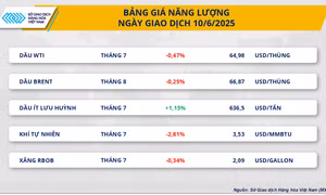 Lực bán mạnh quay lại, MXV-Index chấm dứt chuỗi tăng điểm