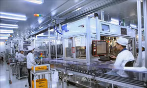 Chủ động 'nhập cuộc'