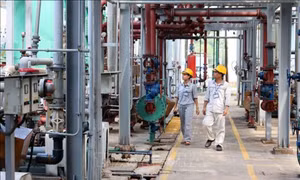 Cơ hội vững vàng cho lao động có tay nghề chuyên môn cao