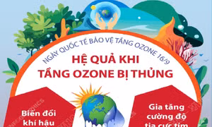 Ngày Quốc tế bảo vệ tầng Ozone 16/9: Hệ quả khi tầng Ozone bị thủng