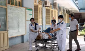 Vụ tai nạn trên cao tốc Cầu Giẽ - Ninh Bình: Huy động nhân lực cấp cứu các nạn nhân