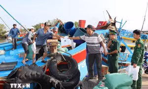 Đồng Tháp kiểm soát đội tàu, siết chặt chống khai thác IUU