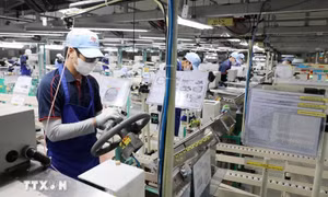 Trụ đỡ cho doanh nghiệp phát triển