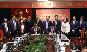 Tăng cường hợp tác phát triển giữa Hải Dương và Phú Yên
