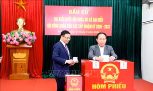 Cử tri Hải Phòng phấn khởi, gửi kỳ vọng vào mỗi lá phiếu