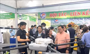 Chung tay xây dựng hệ sinh thái bền vững, tập trung vào học sinh, sinh viên
