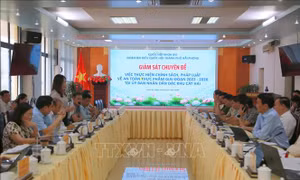 Kiểm soát nguyên liệu thực phẩm, đảm bảo an toàn cho học sinh và người tiêu dùng