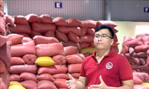 Nông dân trẻ xây chuỗi giá trị, đưa hạt gạo quê hương vươn xa
