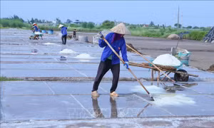 Nâng giá trị từ hạt muối truyền thống