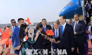 Tuyên bố chung Việt Nam - Ai Cập: Củng cố lòng tin chiến lược giữa hai nước