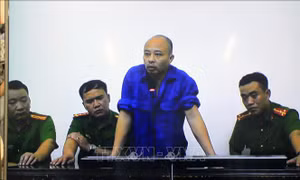 Khởi tố thêm tội Lợi dụng chức vụ, quyền hạn đối với vợ Nguyễn Xuân Đường