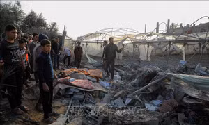 Xung đột Hamas - Israel: Nối lại đàm phán ngừng bắn tại Cairo