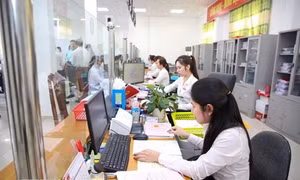 Viên chức được xếp lương theo bậc nghề nghiệp của vị trí việc làm