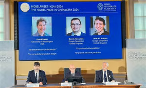 Nobel Hóa học 2024 khám phá bí mật về cốt lõi của sự sống
