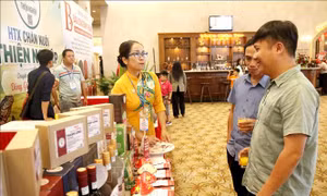 Liên kết 5 địa phương, hình thành không gian du lịch đa trải nghiệm