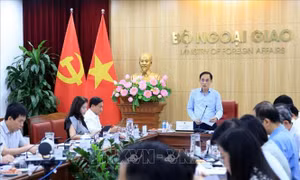 Theo dõi tiến độ, kịp thời tháo gỡ vướng mắc trong thực hiện các cam kết, thỏa thuận quốc tế